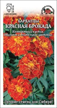 Цветы Бархатцы Красная Брокада ЦВ/П (СОТКА) 0,2гр однолетник 20-25см