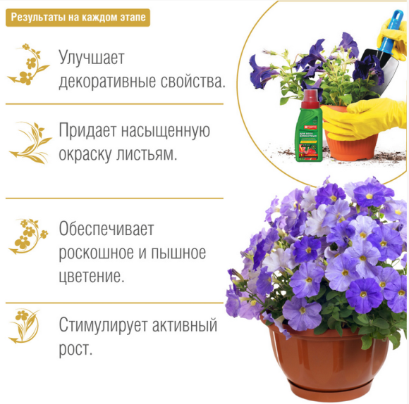 Удобрение Бона Форте Красота Для всех Комнатных Растений 285мл (1уп/20шт) min 3шт