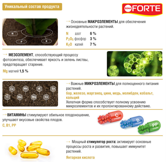 Удобрение Бона Форте Красота Для всех Комнатных Растений 285мл (1уп/20шт) min 3шт
