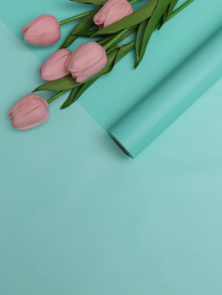 Пленка матовая однотонная Идеал Мята 60см/10м Пленка матовая однотонная Идеал Мята 60см/10м