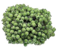 Набор Ягоды засахаренной D-12мм 14см Зелёная 20шт Набор Ягоды засахаренной D-12мм 14см Зелёная 20шт