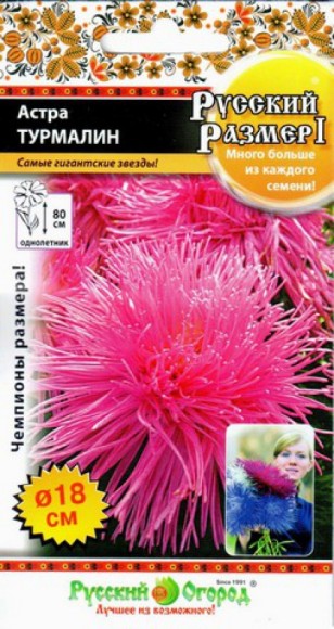 Цветы Астра Русский размер Турмалин ЦВ/П (НК) 0,3гр розовая игольчатая однолетник 80см