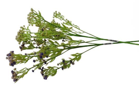 Гипсофила 70см одиночная Арт-2014