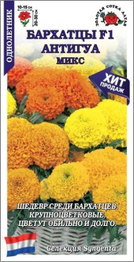 Цветы Бархатцы Антигуа Микс F1 ЦВ/П (СОТКА) 5шт однолетник прямостоячие до 25см
