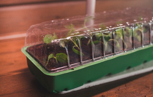 Набор МиниПарник Greengo 5шт Арт-1986209 с Крышкой 18ячеек 570*180*80мм