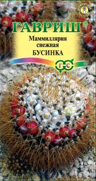 Цветы Маммиллярия Бусинка ЦВ/П (ГАВРИШ) 2шт комнатное кактус