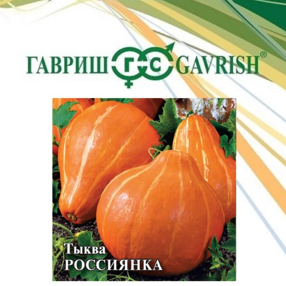 Тыква 25гр Россиянкая ЦВ/П (ГАВРИШ) раннеспелый