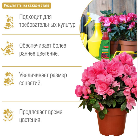Удобрение Бона Форте Красота Рододендрон, Азалий, Камелий и Вересковых культу 285мл (1уп/20шт) min 3