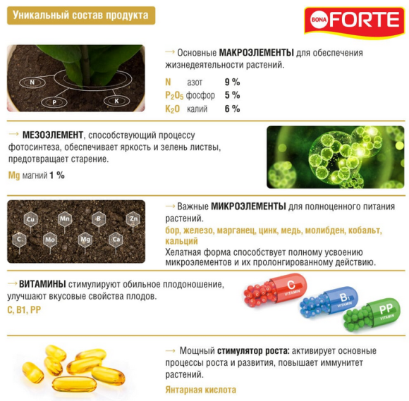 Удобрение Бона Форте Красота Рододендрон, Азалий, Камелий и Вересковых культу 285мл (1уп/20шт) min 3
