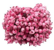 Набор Ягоды засахаренной D-12мм 14см Розовая 20шт Набор Ягоды засахаренной D-12мм 14см Розовая 20шт