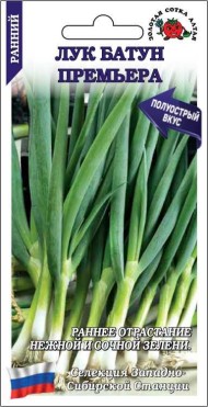 Лук батун Премьера ЦВ/П (СОТКА) 0,5гр раннеспелый