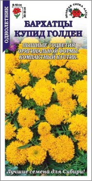 Цветы Бархатцы Купид Голден ЦВ/П (СОТКА) 0,1гр однолетник прямостоячие 30-35см