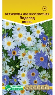 Цветы Брахикома Водопад Смесь ЦВ/П (ЕС) 0,05гр однолетник 20см
