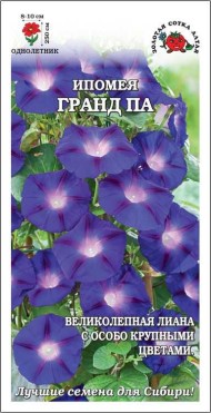 Цветы Ипомея Гранд Па ЦВ/П (СОТКА) 1гр фиолетовый однолетник до 2,5м