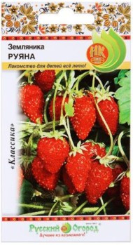 Земляника Руяна ремонтантная ЦВ/П (НК) 0,03гр раннеспелый безусый
