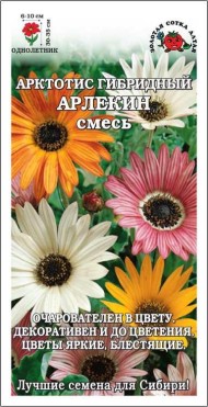 Цветы Арктотис Арлекин Смесь ЦВ/П (СОТКА) 0,1гр однолетник до 35см