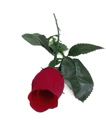 Роза одиночная Бутон 55см