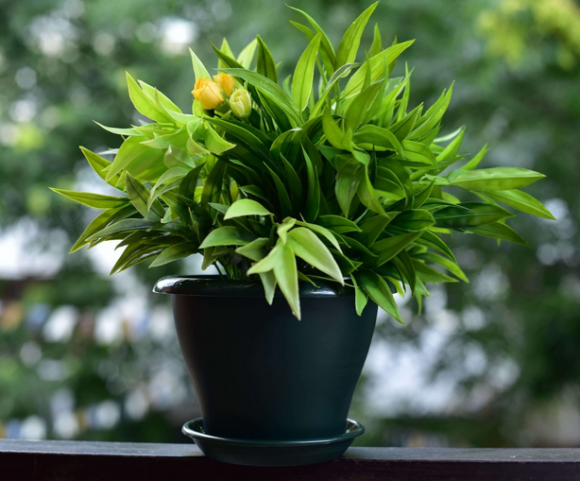 Горшок Гамма 4,2лит D-25см Малахит с поддоном