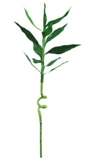 Бамбук искусственный одиночный 122см НВ-28432 Зал Упаковка Бамбук искусственный одиночный 122см НВ-28432 Зал Упаковка