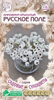 Цветы Аммобиум Русское поле крылатый ЦВ/П (ЕС) 0,2гр многолетник сухоцвет 60см