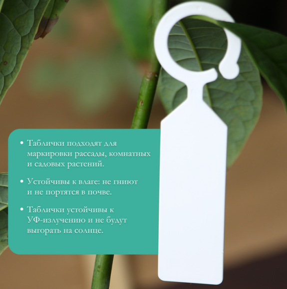 Набор табличек 10см*20шт Greengo Арт-5217609