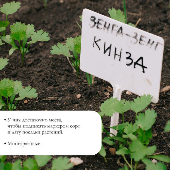 Набор табличек 10см*20шт Greengo Арт-5217609