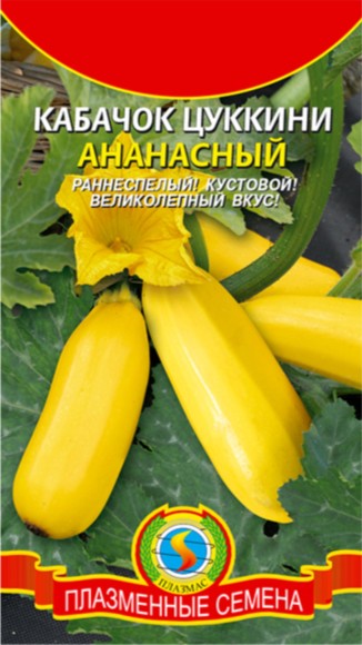 Кабачок Цуккини Ананасный ЦВ/П (ПЛАЗМА) 12шт раннеспелый