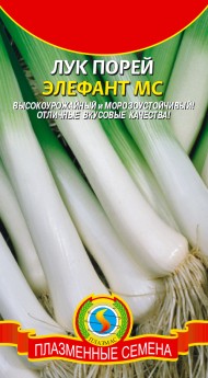 Лук порей Элефант Б/П (СОТКА)