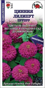 Цветы Цинния Лилипут Пурпур ЦВ/П (СОТКА) 0,2гр однолетник 25-35см