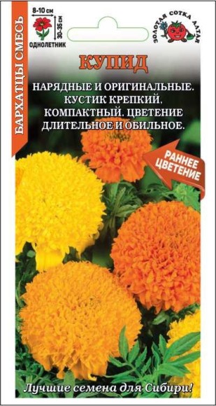 Цветы Бархатцы Купид смесь ЦВ/П (СОТКА) 0,1гр однолетник прямостоячие 30-35см