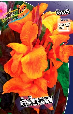 Канна Вайоминг (1уп/1шт)