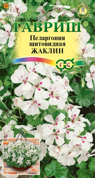 Цветы Пеларгония Жаклин ампельная ЦВ/П (ГАВРИШ) 3шт комнатное до 80см