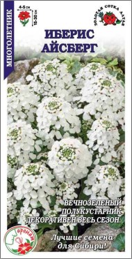 Цветы Иберис Айсберг горький ЦВ/П (СОТКА) 0,3гр многолетник 15-30см