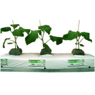 Брикет из кокосового субстрата JIFFLY 950мм*200мм (АКЦИЯ - 20%) СКЛАД Брикет из кокосового субстрата JIFFLY 950мм*200мм (АКЦИЯ - 20%) СКЛАД