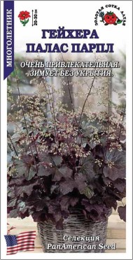 Цветы Гейхера Палас Парпл ЦВ/П (СОТКА) 10шт многолетник 20-30см