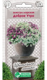 Цветы Алиссум Доброе утро ЦВ/П (ЕС) 0,06гр однолетник 15-20см