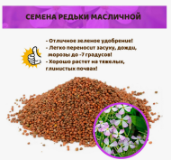 Редька масличная 500гр (1уп/30шт) сидерат