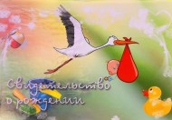 Обложка на Свидетельство о рождении Аист А 5