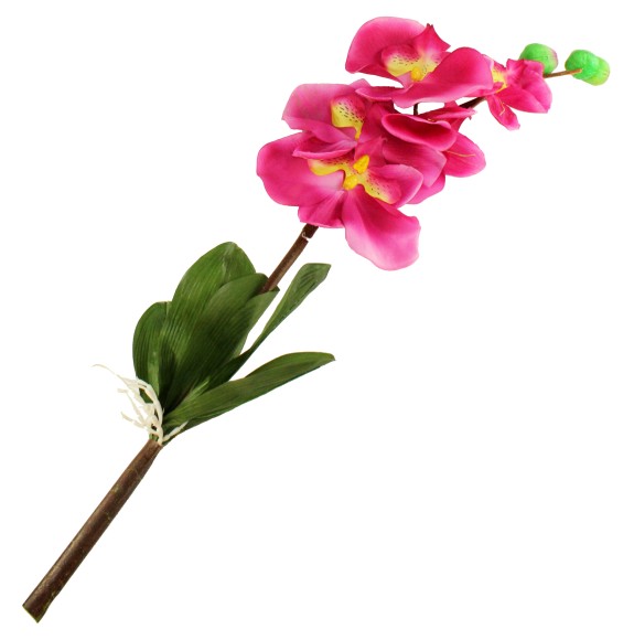 Орхидея для горшка 177см с корнями и листьями d-28 Арт-5597