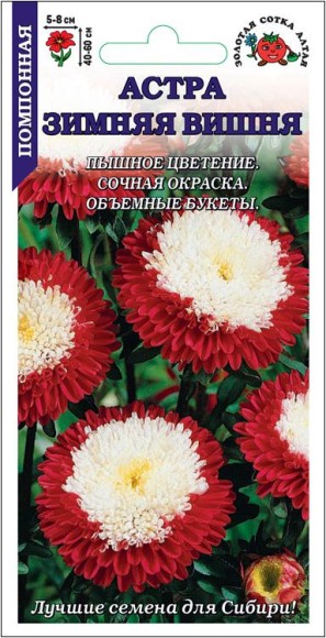 Цветы Астра Зимняя вишня ЦВ/П (СОТКА) 0,1гр однолетник 40-50см