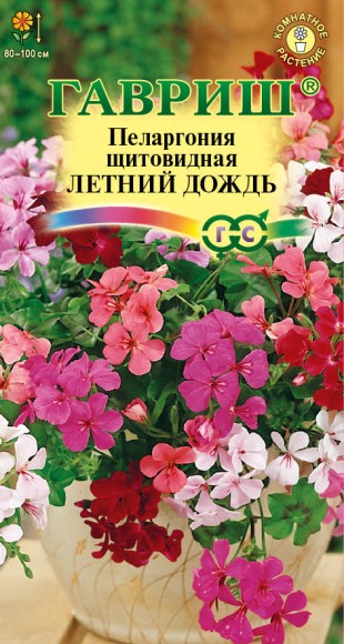 Цветы Пеларгония Летний дождь ампельная ЦВ/П (ГАВРИШ) 3шт смесь комнатное до 1м