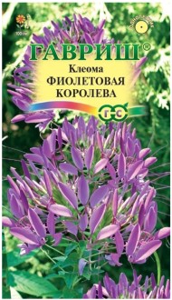 Цветы Клеома Фиолетовая Королева ЦВ/П (ГАВРИШ) 0,2гр однолетник до 1м
