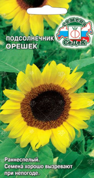 Подсолнечник на семечки Орешек ЦВ/П (СЕДЕК) 5гр раннеспелый 1,6-1,7м Подсолнечник на семечки Орешек ЦВ/П (СЕДЕК) 5гр раннеспелый 1,6-1,7м