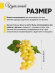 Гроздь Винограда Белого 60голов