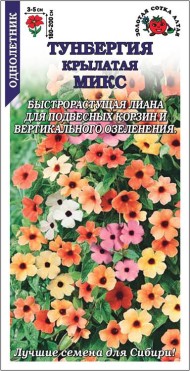 Цветы Тунбергия Крылатая Смесь ЦВ/П (СОТКА) 0,2гр однолетник до 2,0м