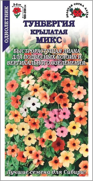 Цветы Тунбергия Крылатая Смесь ЦВ/П (СОТКА) 0,2гр однолетник до 2,0м Цветы Тунбергия Крылатая Смесь ЦВ/П (СОТКА) 0,2гр однолетник до 2,0м
