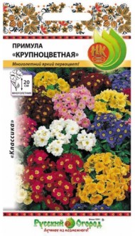 Цветы Примула Крупноцветная смесь ЦВ/П (НК) 0,05гр многолетник 30см