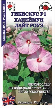 Цветы Гибискус Ханеймун Лайт Роуз F1 ЦВ/П (СОТКА) 3шт комнатное 60-80см