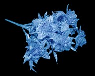 Букет блестящих Роз 7 голов 29 см ГОЛУБОЙ