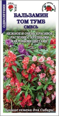 Цветы Бальзамин Том Тумб Смесь ЦВ/П (СОТКА) 0,3гр однолетник 15-25см
